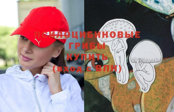 стаф Алексин