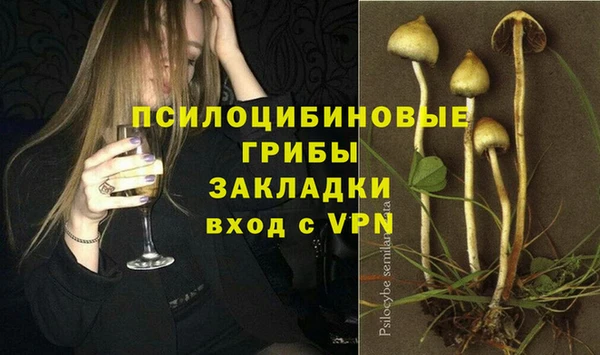 индика Алексеевка