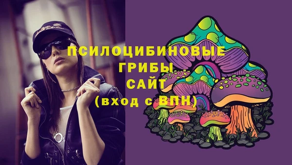 индика Алексеевка