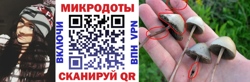 хочу наркоту  Шумерля  Галлюциногенные грибы MAGIC MUSHROOMS 