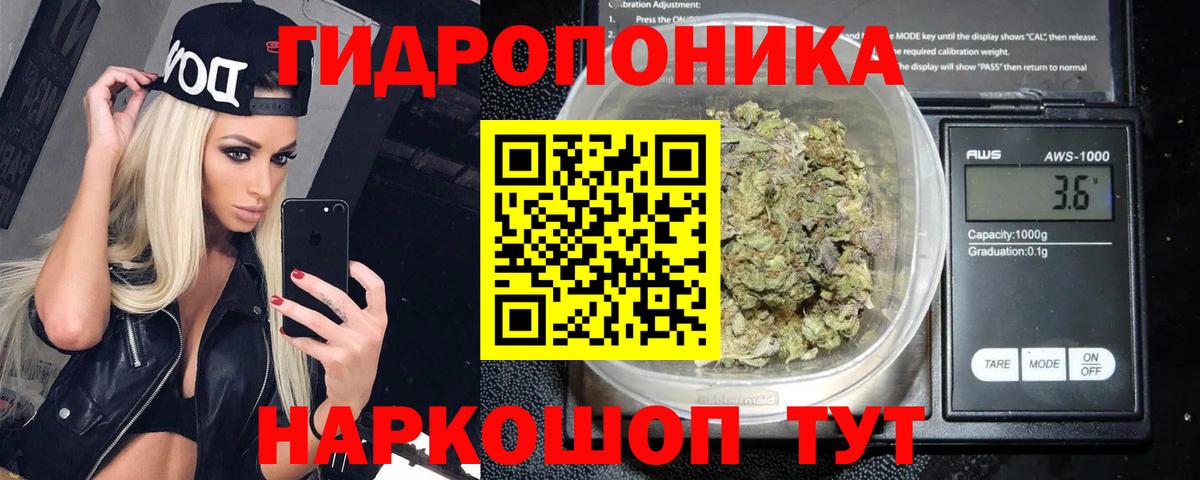 Канабис OG Kush Шумерля